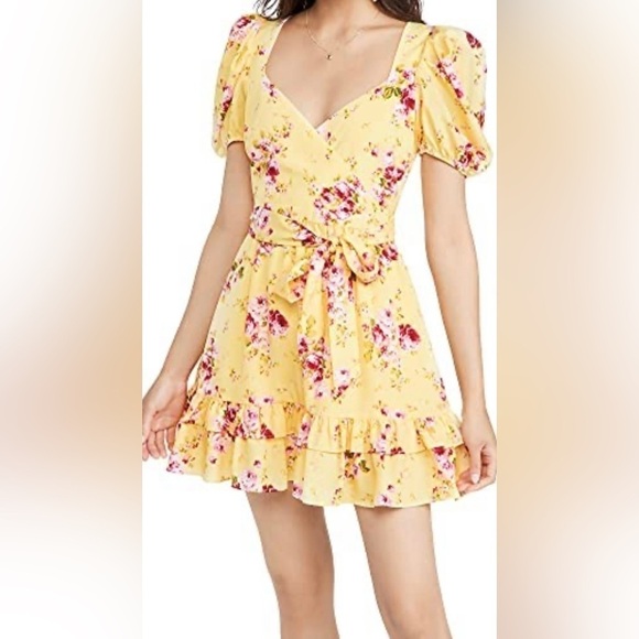 LIKELY Quinn Mini Dress‎ Snapdragon Multi Color Floral Print. Size 8 - Picture 1 of 5